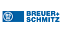 BSW brand logo